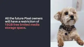 Unlimited Google Photos storage will not be a feature for future Pixel owners