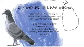 2024 මැතිවරණ ප්‍රතිපල