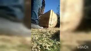 распил дерева вдоль бензопилой