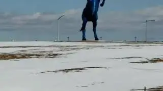 The horse named Lucifer Denver Airport