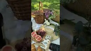 Как вам такой пикник на природе? 