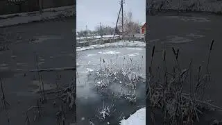 🏕️✌️БЕЛАРУСЬ. ЗИМА... ЗИМА ВЕРНУЛАСЬ?!) Алсу,Вестик Ника,Снежок и Беларуская деревня 23.12 2023.🏕️