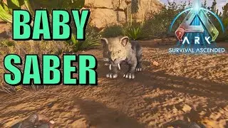 Baby Saber - ASA S2E3