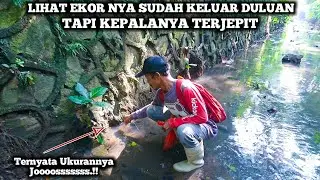 Mancing Belut Besar Tengah Kota Yang Susah Keluar Ternyata Ukurannya Joooosssssss