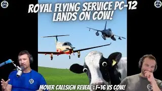 The Cow vs Doctors and Fighter Pilots