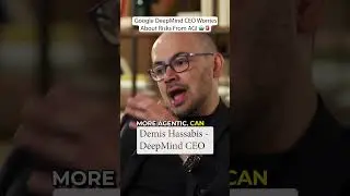 Google DeepMind CEO Worries About AGI Risks 