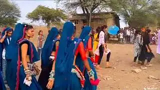 timli dance | #gujratidance #timlidance #adivasidance #tribaldance