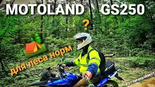 MOTOLAND GS250*ЕЗДА ПО ЛЕСУ*ТАК ЛИ ОН ХОРОШ?