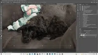 Merging two photos when you miss focus in one.  Photoshop edit.  Move tool, mask, clone tool.