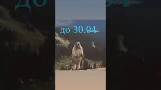 Начало самоизоляции