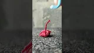 ПЕТАРДЫ 🧨  ЧЕСНОЧКИ