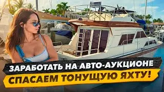Making Money at a Car Auction in the USA. Hurricane in Miami, Yacht Sinks! Will the Project Happen?