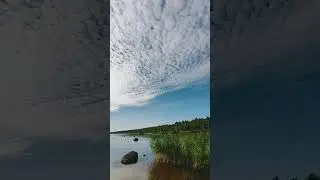 Крылья Ладоги.