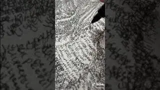 Lil peep life is beautiful