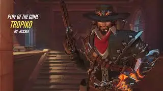 Petra DM potgs