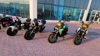 🔥Zonsen ZS150 Mini Panda🐼🔥 All Models ZS 150A, ZS 150B, ZS 150 CUBE 