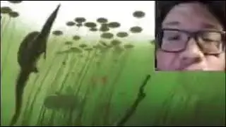 TOP 10 IMAGES to scare spinosaurus fanboys