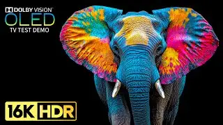 Fantastic 16K HDR 60fps Dolby Vision (8K/4K TV)