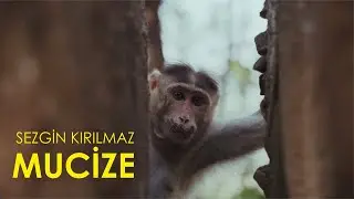 Sezgin Kırılmaz - "Mucize" (Official Video)