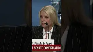 Pam Bondi on Border Crisis: 