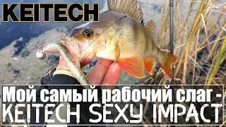 Мой самый рабочий слаг - Keitech Sexy Impact