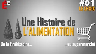 #01 Le Choix - Une Histoire de l'Alimentation