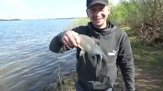 Убойная насадка для отличного клева!!! Томь, Томск.