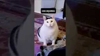 страшно однако.