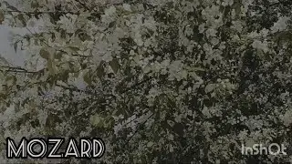 MozarD (cover Ключи-нашла).