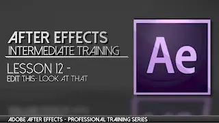 AFTER EFFECTS PROFESSIONAL TRAINING lesson 12- Edit this, Look at that