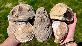 Let's cut these BIG agates open!