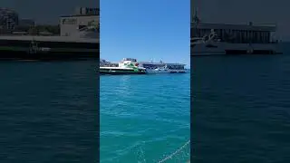 Прощай суша.