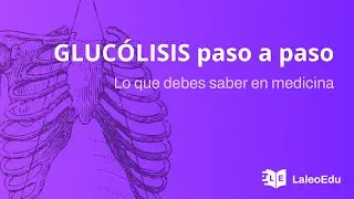 Glucólisis. Todo lo que debes aprender de glucólisis para la escuela. Nivel universitario.