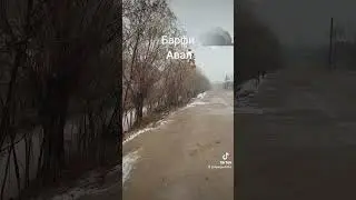 Первый  Снег🌨️🌨️
