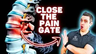The Real ROOT CAUSE of Chronic Back Pain (pt.8) - Closing the Gates on Chronic Pain