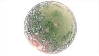 опять садики и огородики