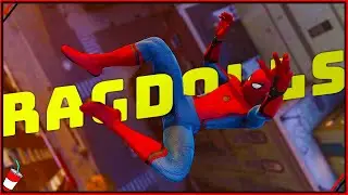 Ragdolls, And Why They Matter