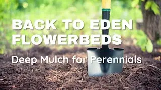 No Dig, Back To Eden Flower Garden