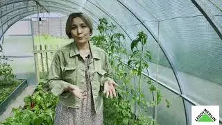 По садам и огородам  Эпизод 2. Советы по рассаде