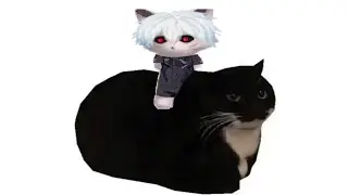 Maxwell Cat, но это astral step | mashup