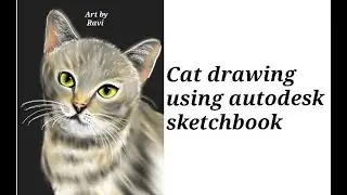 Cat drawing, Autodesk sketchbook