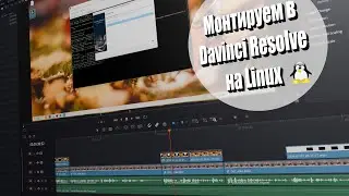 Can I use Davinci Resolve 20 on Linux?