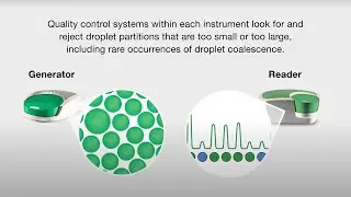 Did You Know that Beyond Sensitivity, ddPCR Provides Unrivaled Precision and Accuracy?