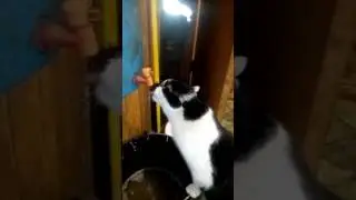 Утренний сушняк )))