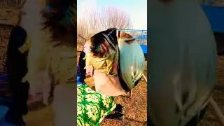 суннат туй