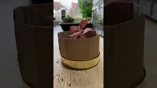 Home Decor Tiktok miniearths