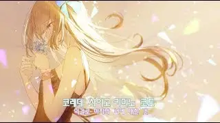 꿈의 거리 콘트라스트 「Himawari- 夢町コントラスト」