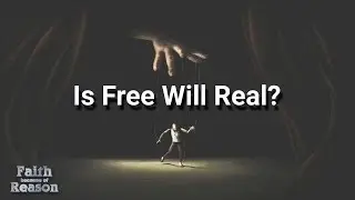 A Case For Free Will