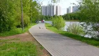 Ути-пути
