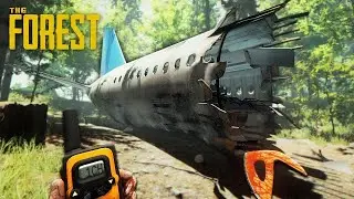 The Forest➤ Авиакатастрофа